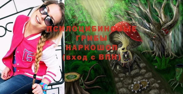 МДПВ Нязепетровск
