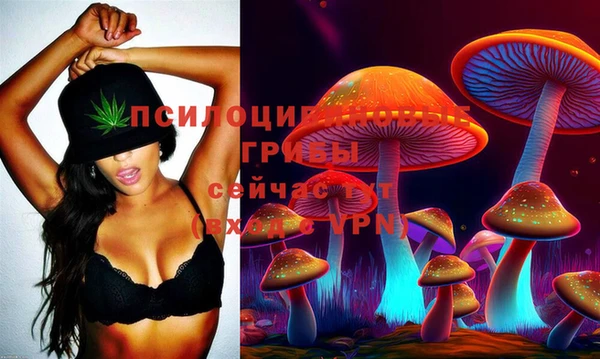 МДПВ Нязепетровск