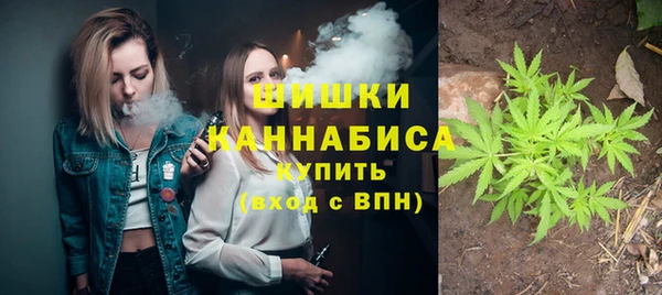 индика Белокуриха