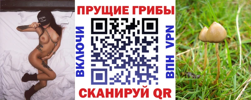 Галлюциногенные грибы GOLDEN TEACHER  ОМГ ОМГ как войти  Суоярви 